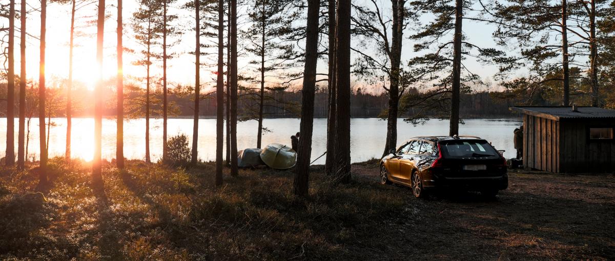 Bil i skogen