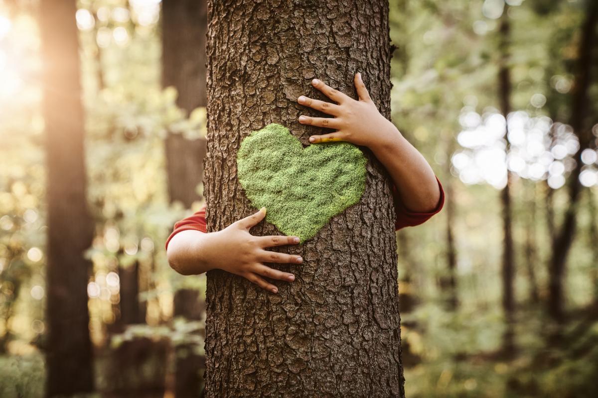Ett löv format som ett hjärta hålls av två händer mot en trädstam.