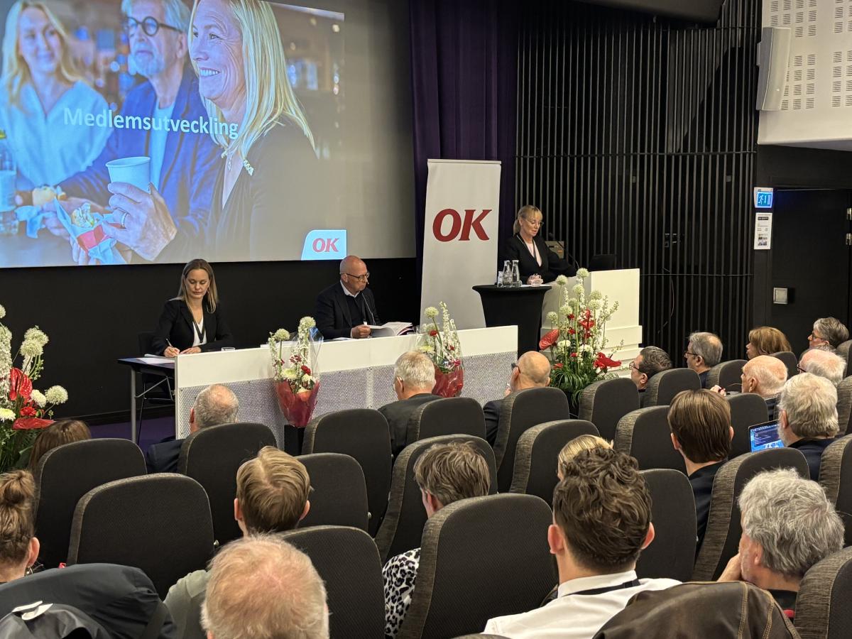 Föreningsstämman 2025