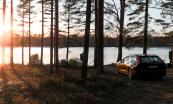 Bil i skogen