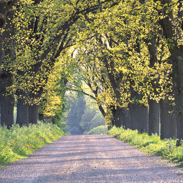 Årsredovisning 2017/18