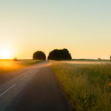 Grusväg mellan åkrar i soluppgång.