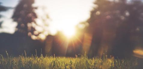 Förslag till styrelsen och förtroendevalda revisorer tillika föreningsgranskare