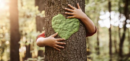 Händer håller ett blad format som ett hjärta mot en trädstam.